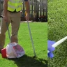 Keeping Your Yard Clean and Fresh: The Benefits of Professional Dog Poop Cleanup Services