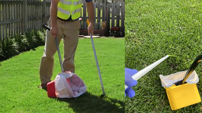 Keeping Your Yard Clean and Fresh: The Benefits of Professional Dog Poop Cleanup Services